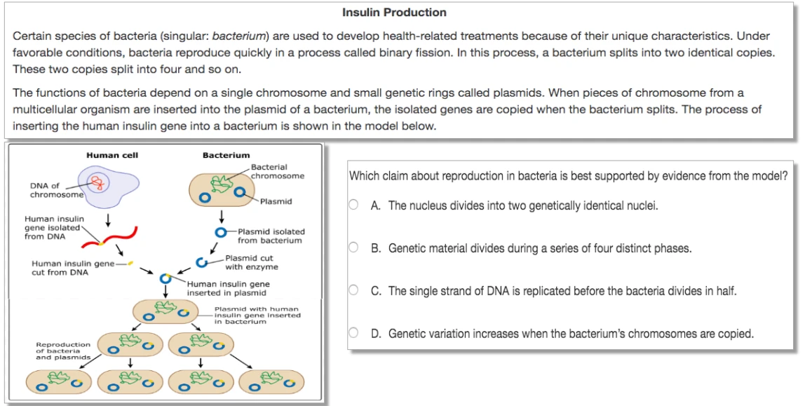 Grade 10 Question