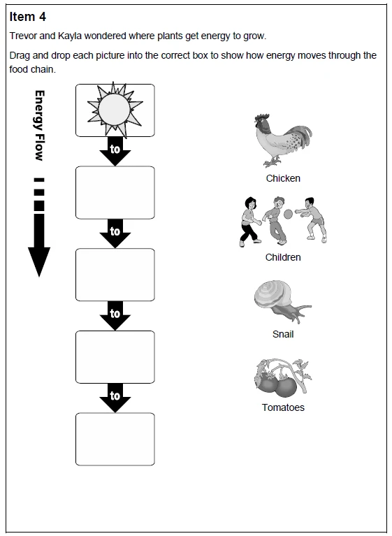 additional 5th grade question