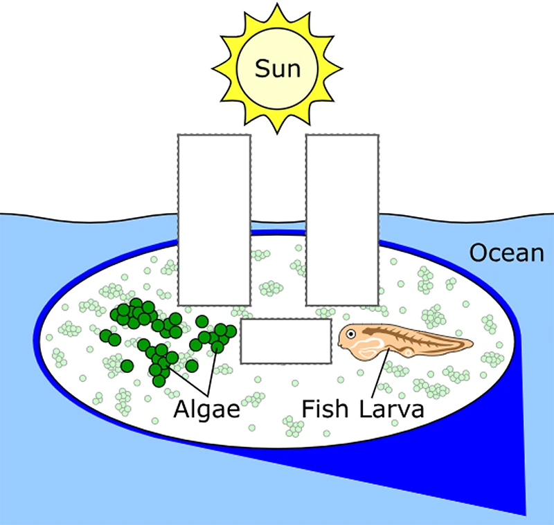 5th Grade Science Question