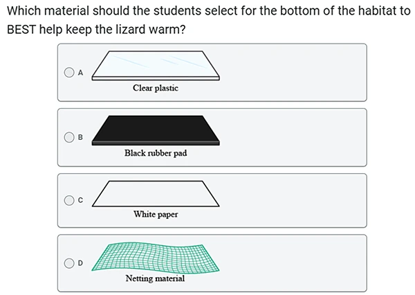 5th Grade Science Question