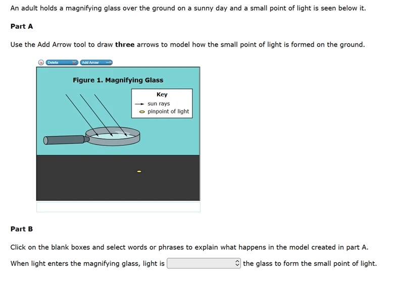 8th Grade Science Question