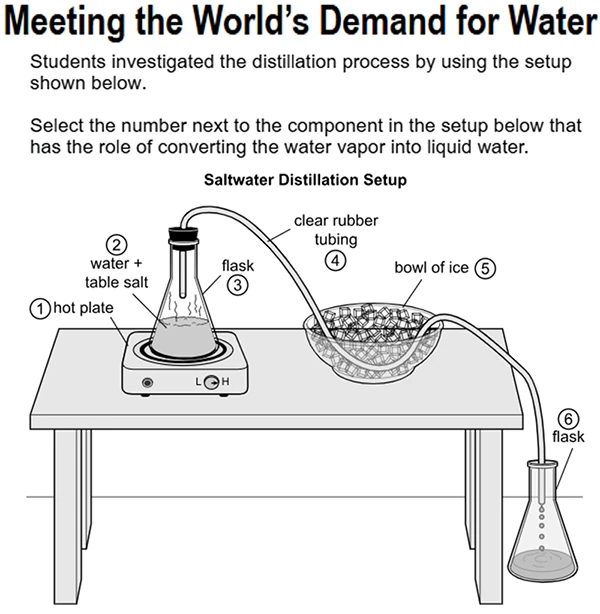 8th Grade Science Question