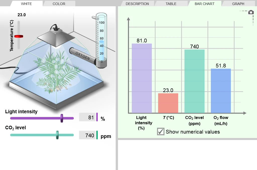 Photosynthesis Lab Gizmo