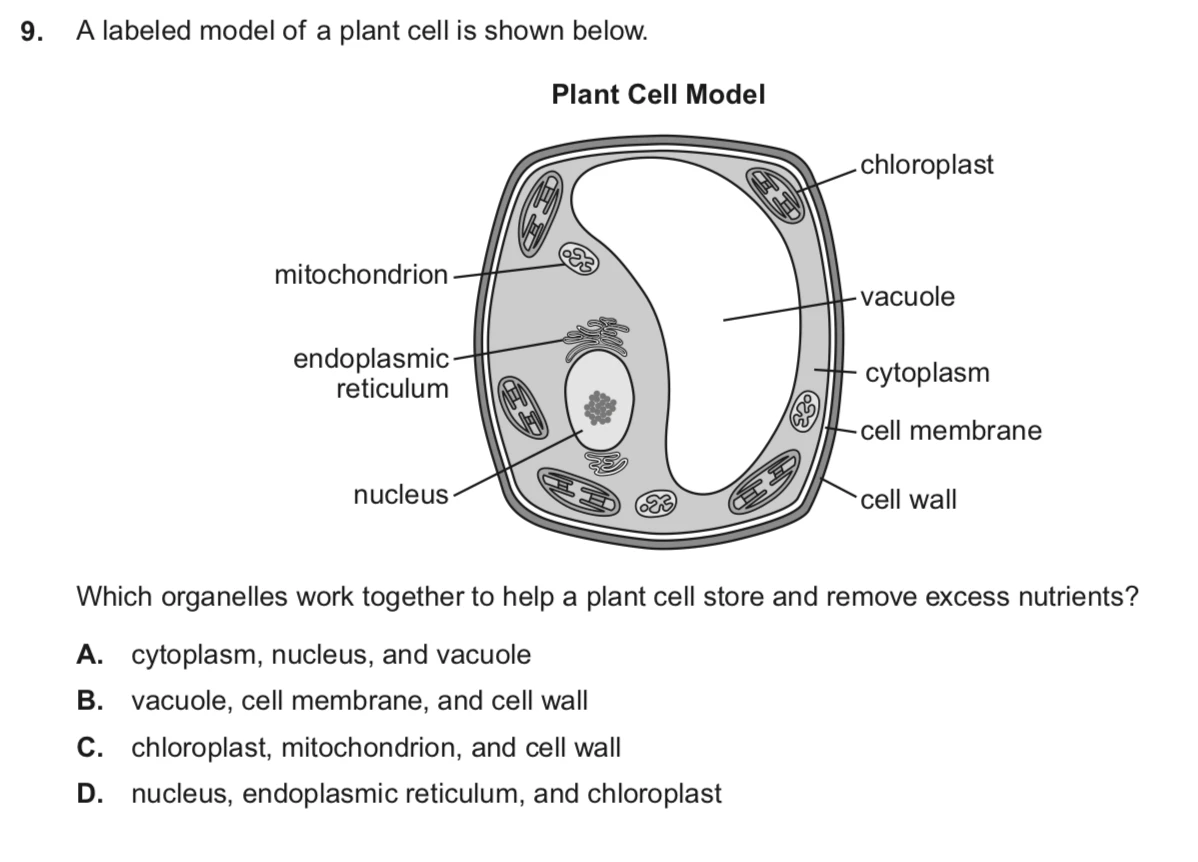 Biology Question