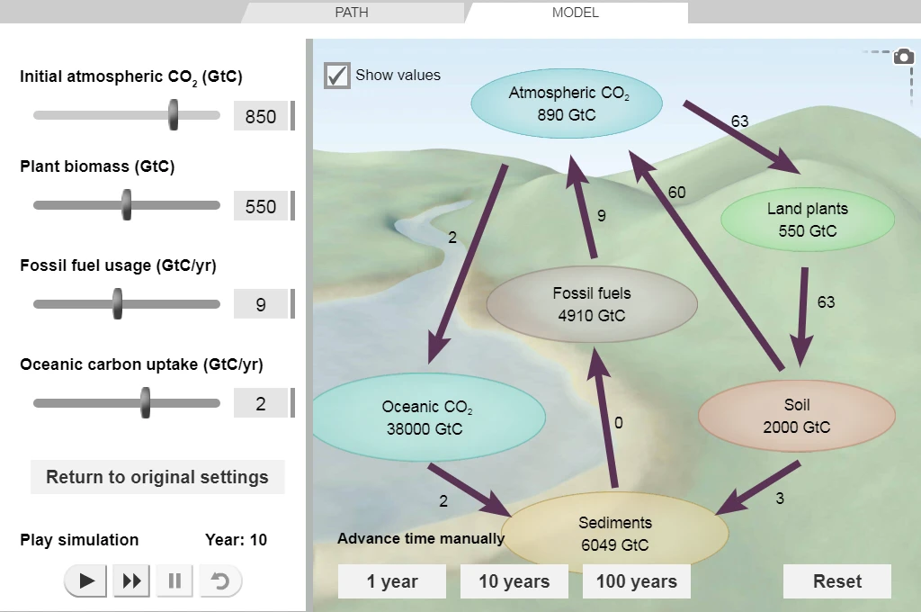Carbon Cycle Gizmo