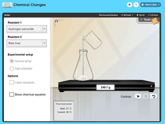 Chemical Changes Gizmo
