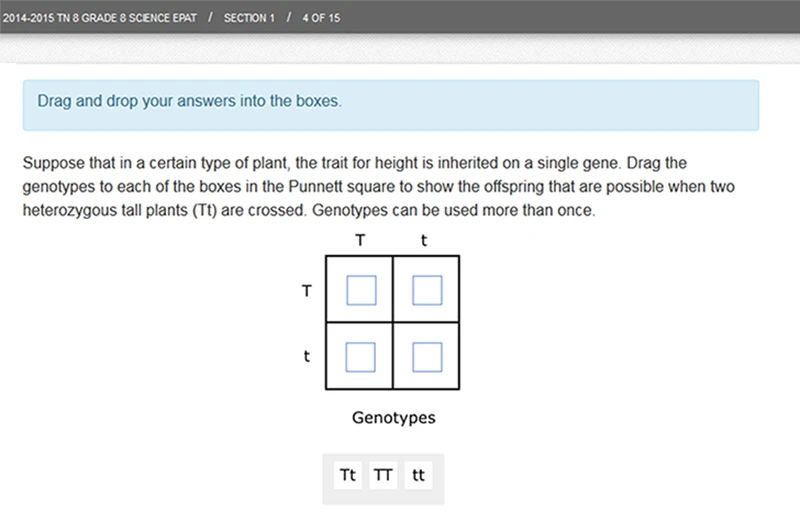 8th Grade Question