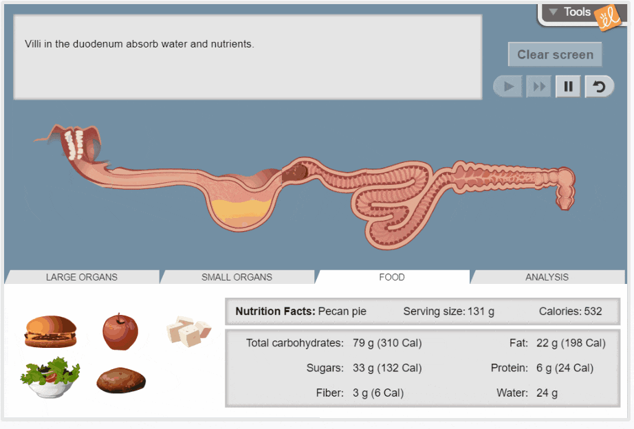 Gizmos help students explore the science of health with online biology ...