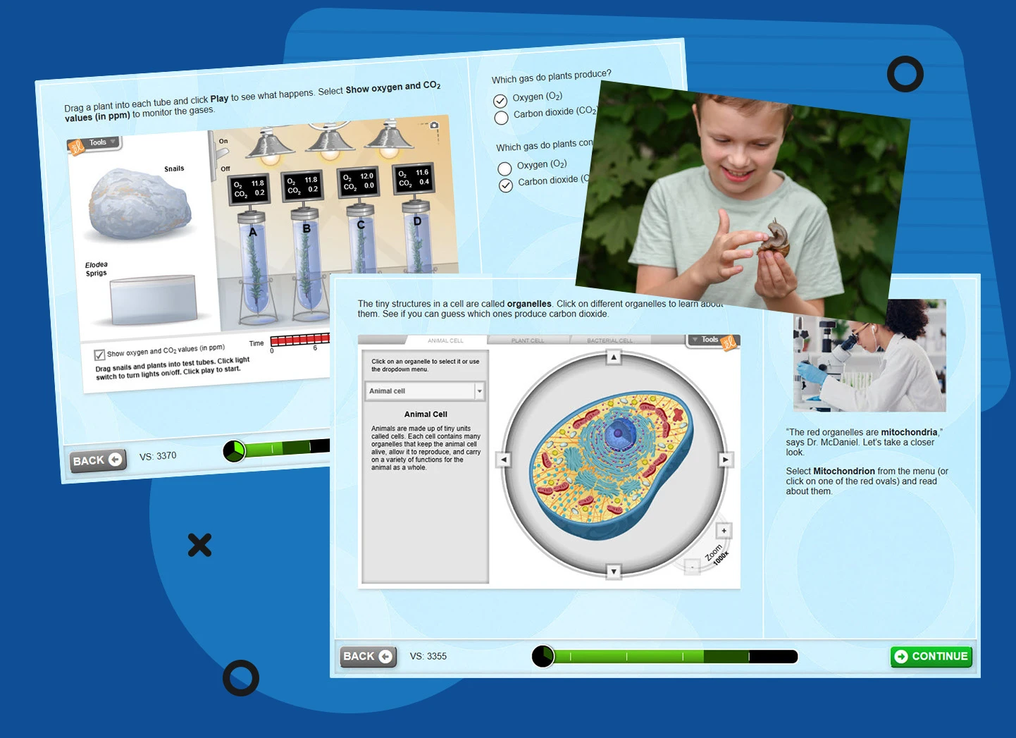 Gizmos Investigations
