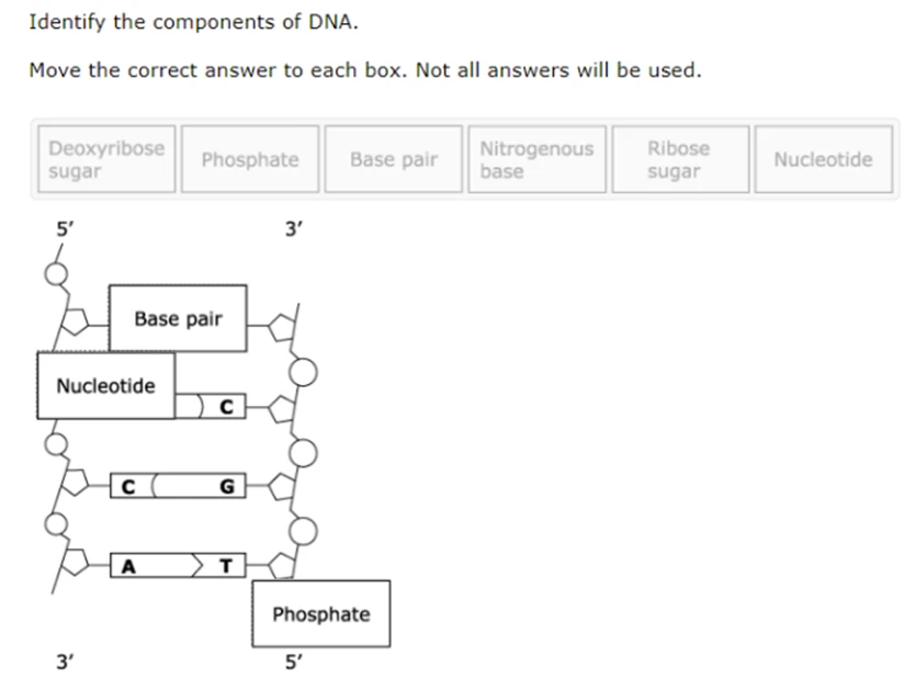 additional 2024 STAAR Question