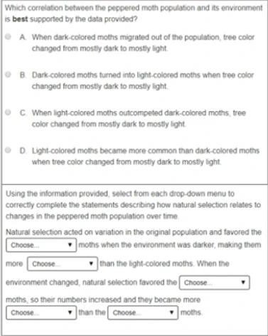 additional High School question