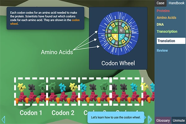 Protein Synthesis STEM Case