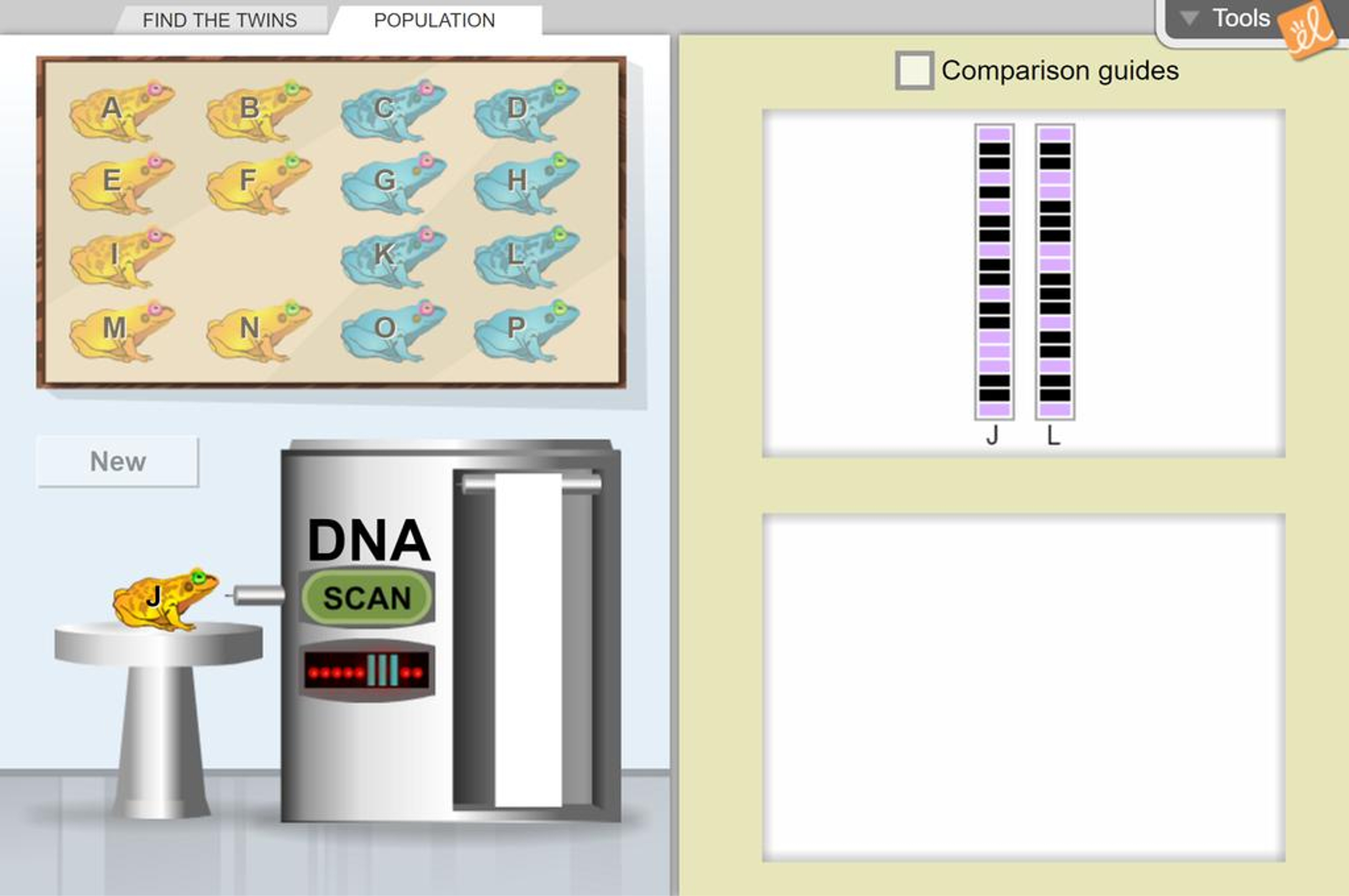 DNA Analysis Gizmo