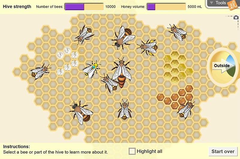 Honeybee Hive Gizmo