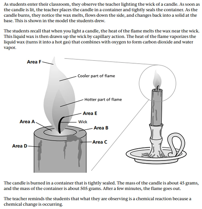 7th Grade Science Question
