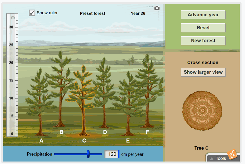 Measuring Trees gif