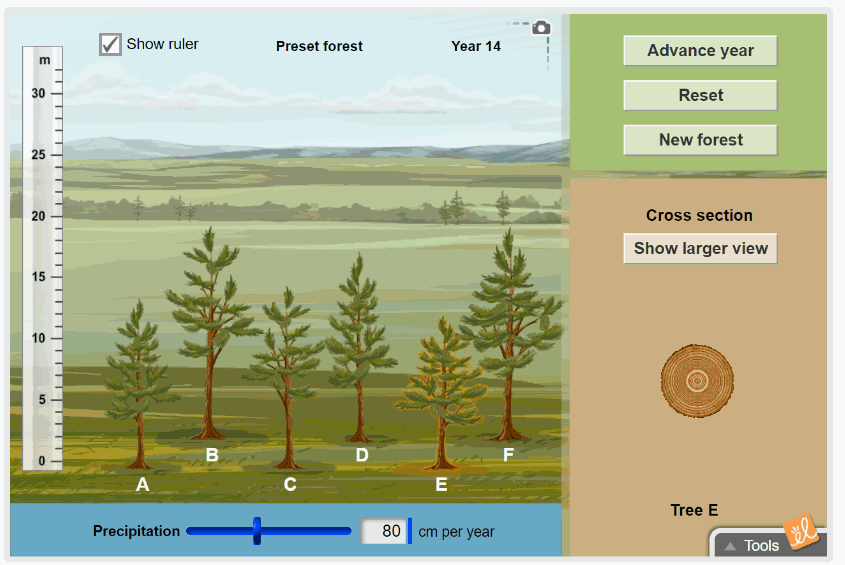Measuring Trees gif