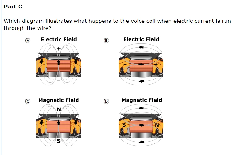 additonal Middle School Question
