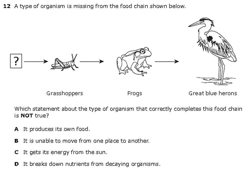 5th Grade Question