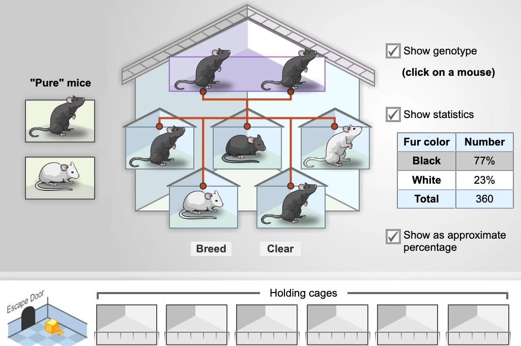 Mouse Genetics (One Trait) Gizmo