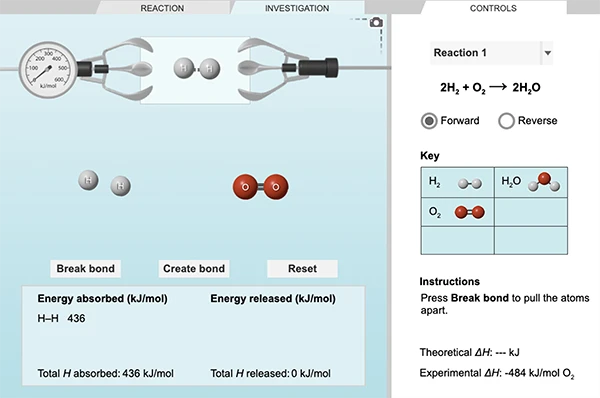 Reaction Energy Gizmo