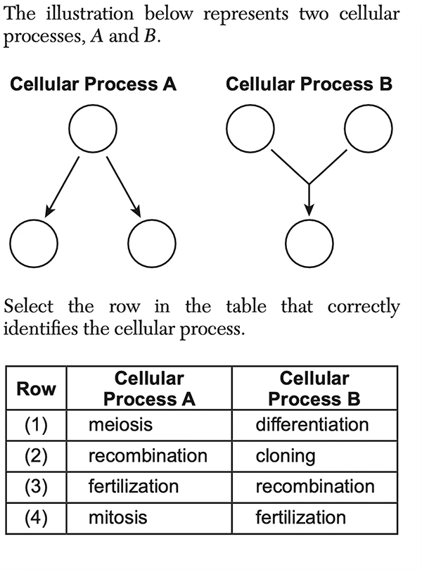 High School Science Question