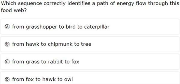 5th Grade Science Question