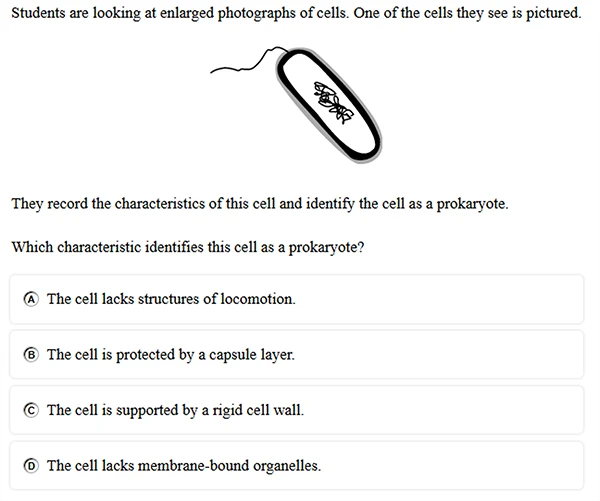 High School Science Question