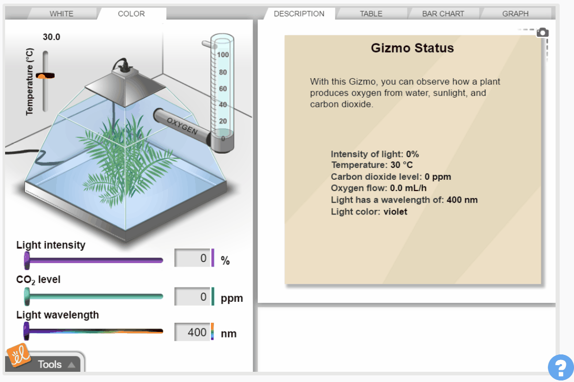 Photosynthesis Lab gif
