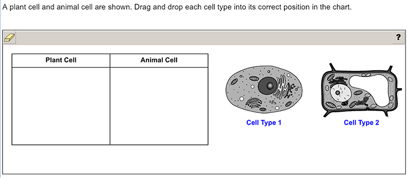 4th grade question
