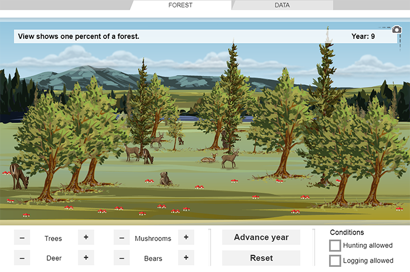 Forest Ecosystem Gizmo