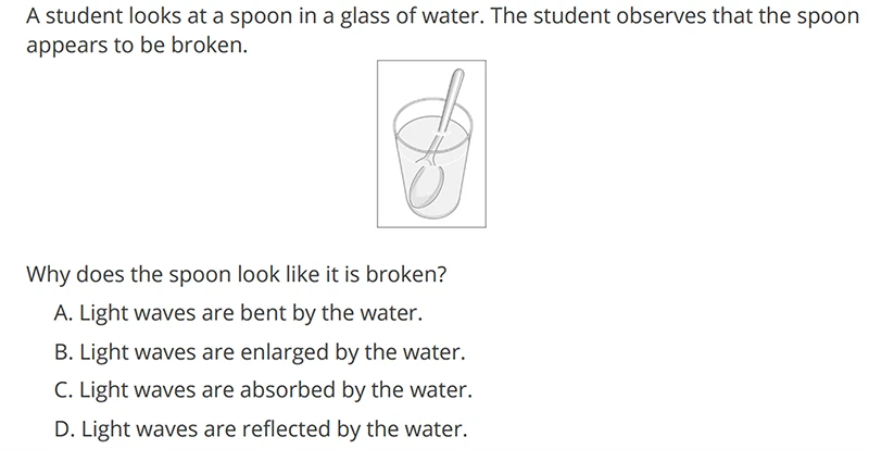 4th Grade Science Question