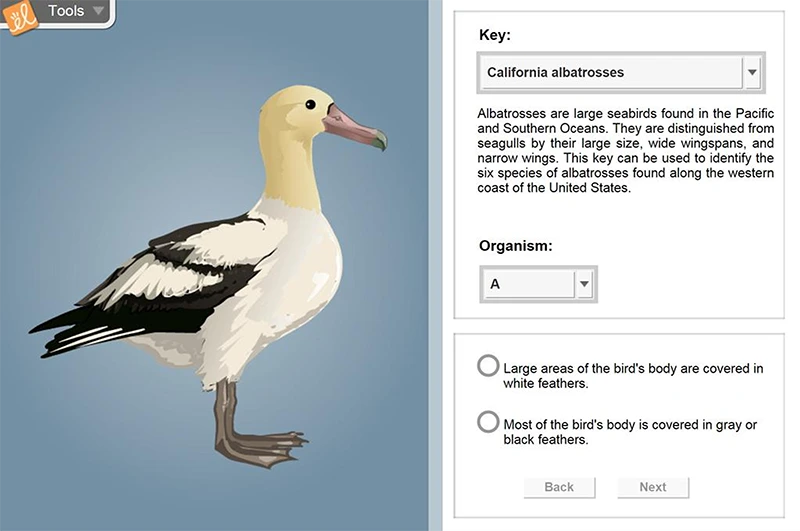Dichotomous Keys Gizmo