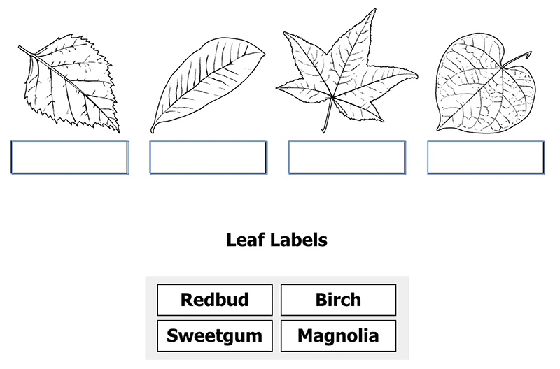 5th Grade Science Question